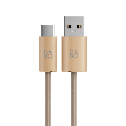 Beoplay H95