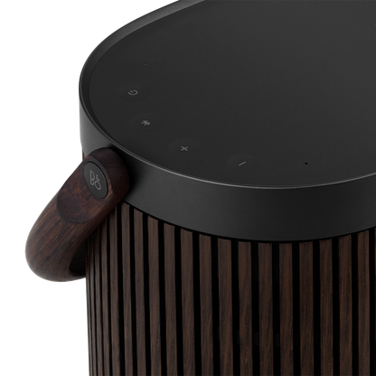 Beosound A5