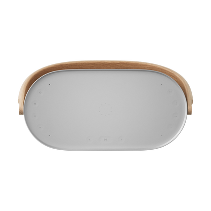 Beosound A5