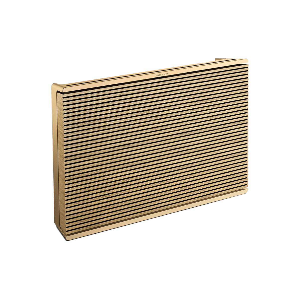 Beosound Level