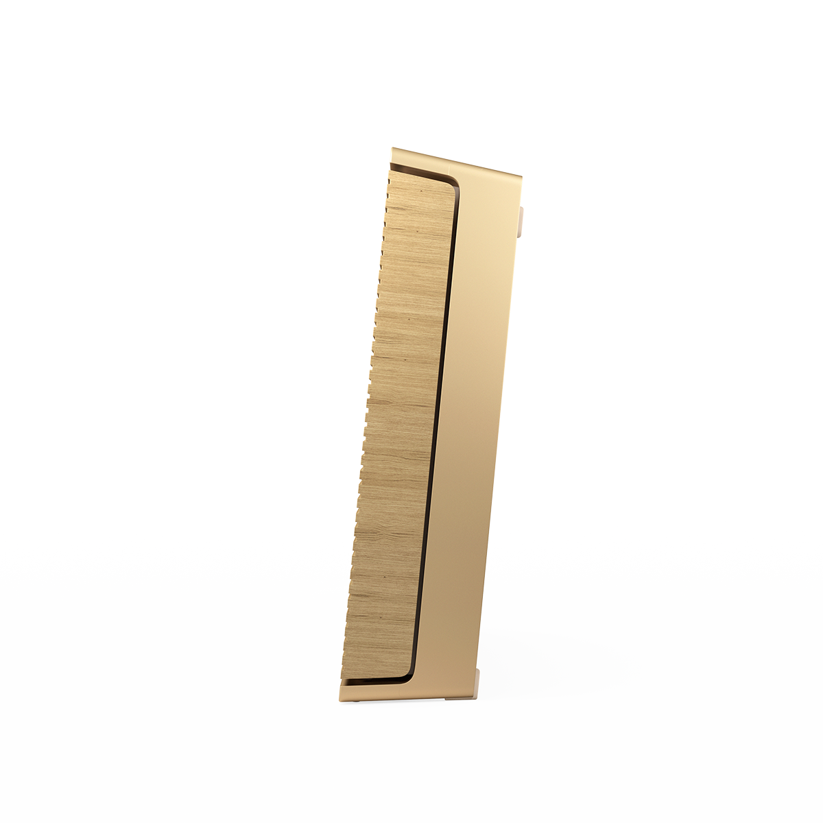 Beosound Level