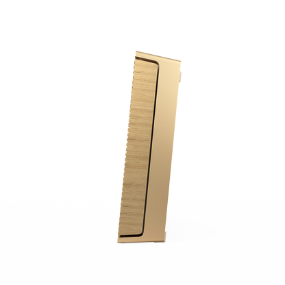 Beosound Level