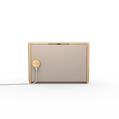 Beosound Level