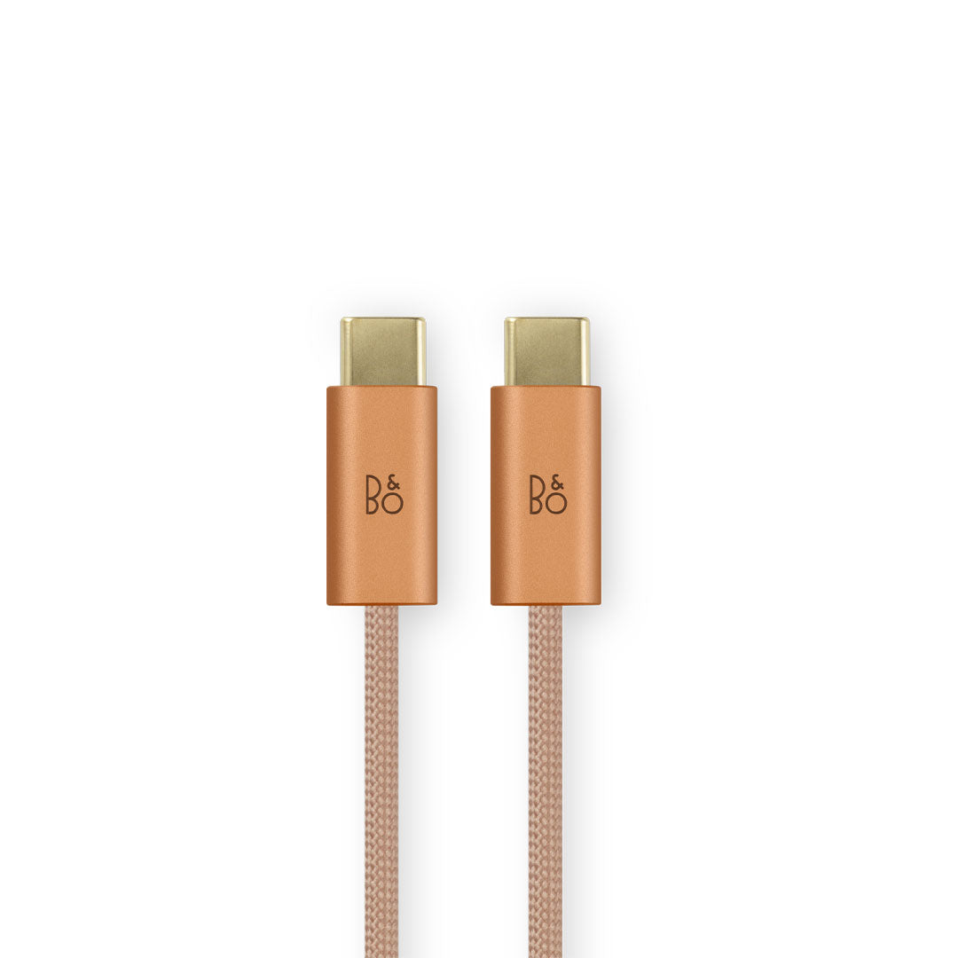 Beoplay H100