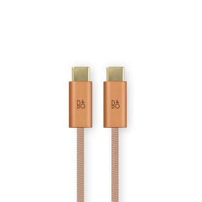 Beoplay H100